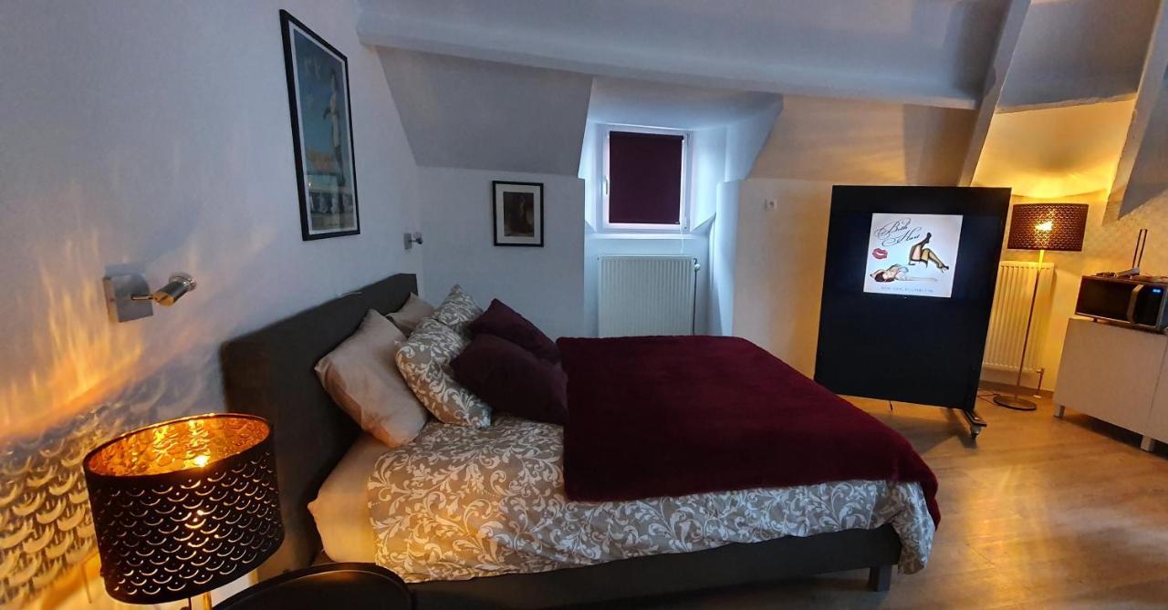 Apartament La Belle Mosane De La Plante Namur Zewnętrze zdjęcie